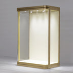 DM253 Wall Mounted Jewellery Display Showcase